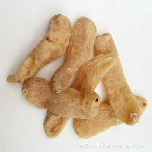 Top Quality Gastrodiae Rhizoma